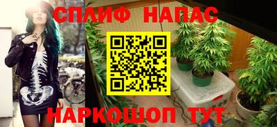 spice Будённовск