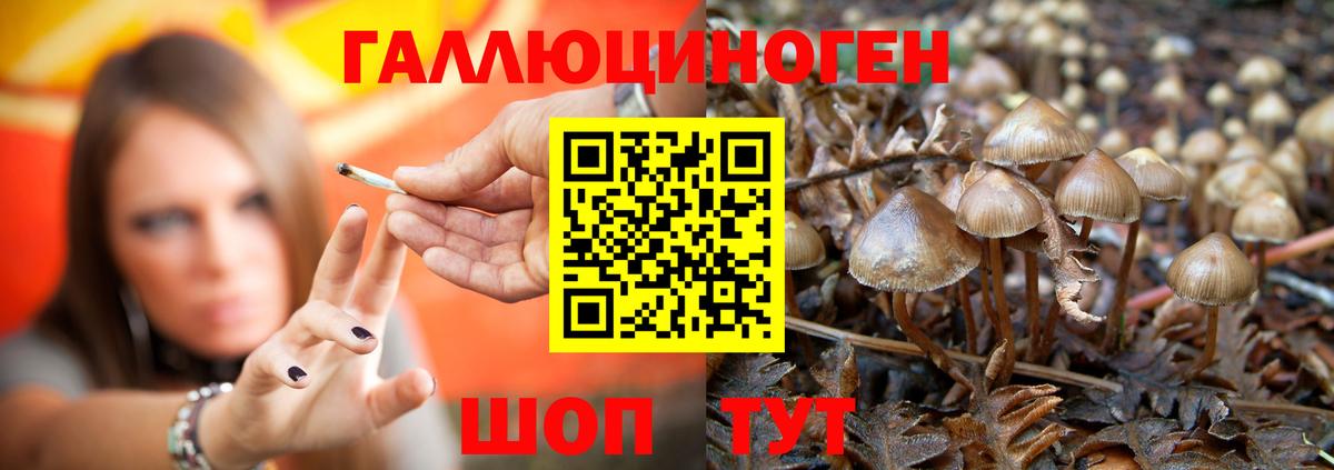 Псилоцибиновые грибы Cubensis  Вход с VPN  Галлюциногенные грибы MAGIC MUSHROOMS  Курган 